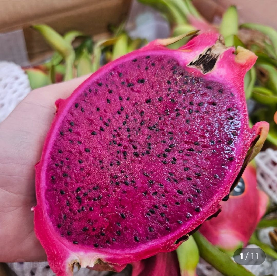 Dragon Fruit